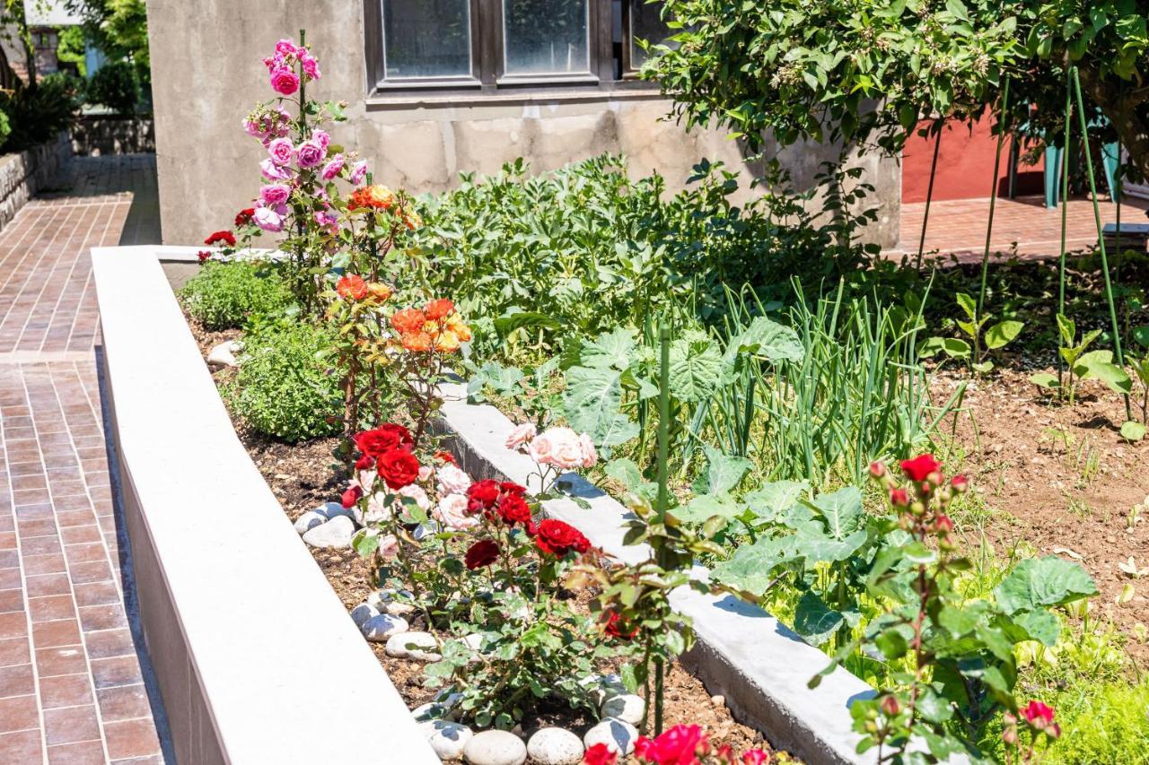 Studio Apartment Lapad Dubrovnik Luaran gambar