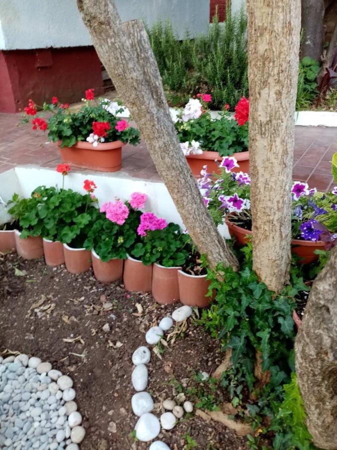 Studio Apartment Lapad Dubrovnik Luaran gambar
